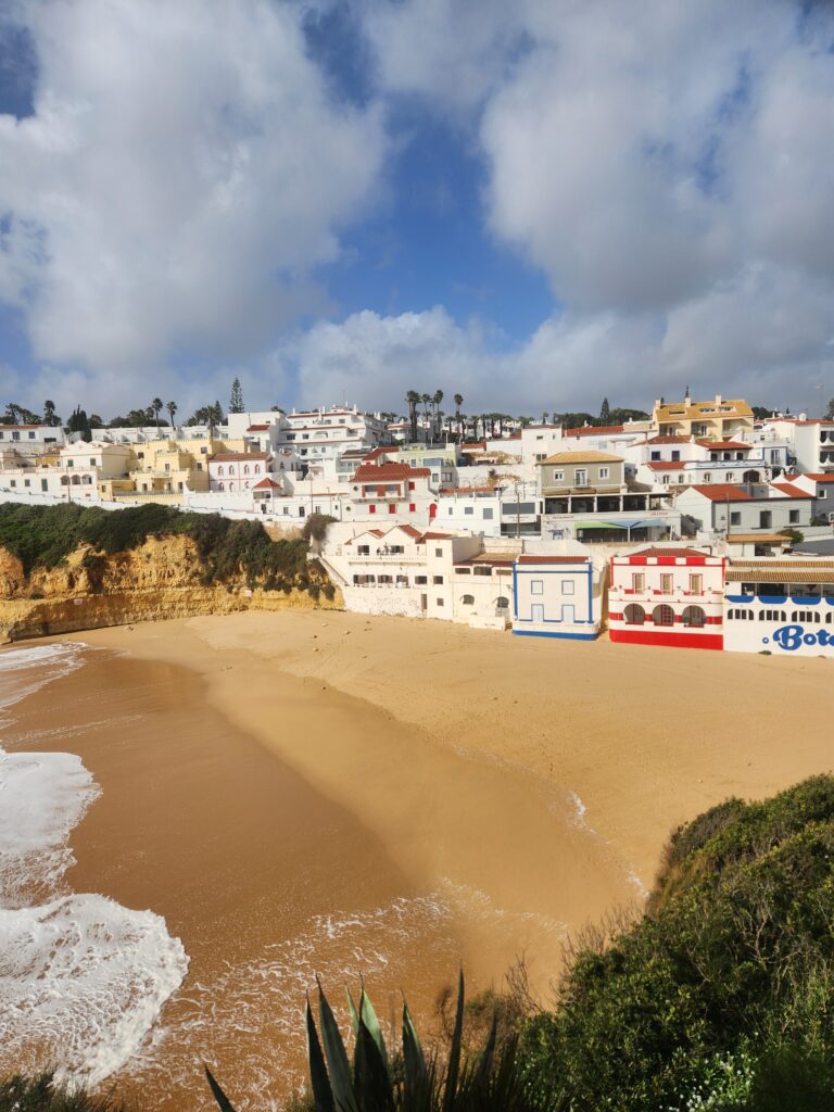 ALGARVE SNOWBIRDS 20260205 135342