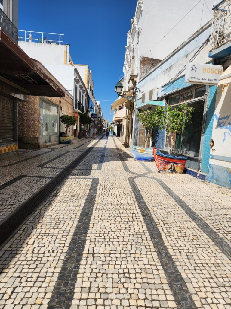 ALGARVE SNOWBIRDS 20260418 154621